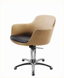 Pietranera Amy Styling Chair  120.8R