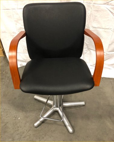 Salon Styling CHair